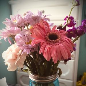 Meet your Posher, Sammy